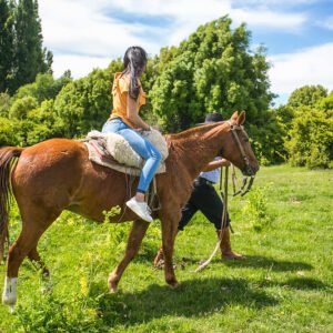 Cabalgata Tom Wesley